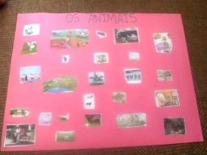 projeto animais (2)